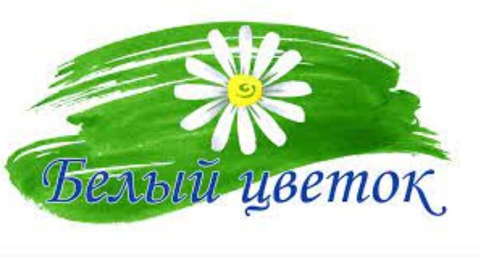 Белый цветок